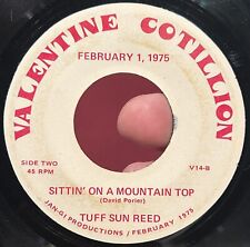 RARE Southern Hard Rock Unknown 45 TUFF SUN REED Sittin’ On A Mountain Top VG * picture