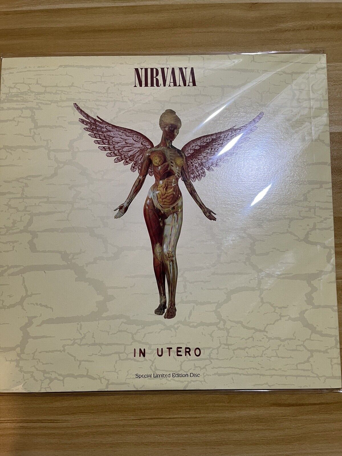 NIRVANA  IN UTERO, 1993 1st US Pressing On Clear Vinyl