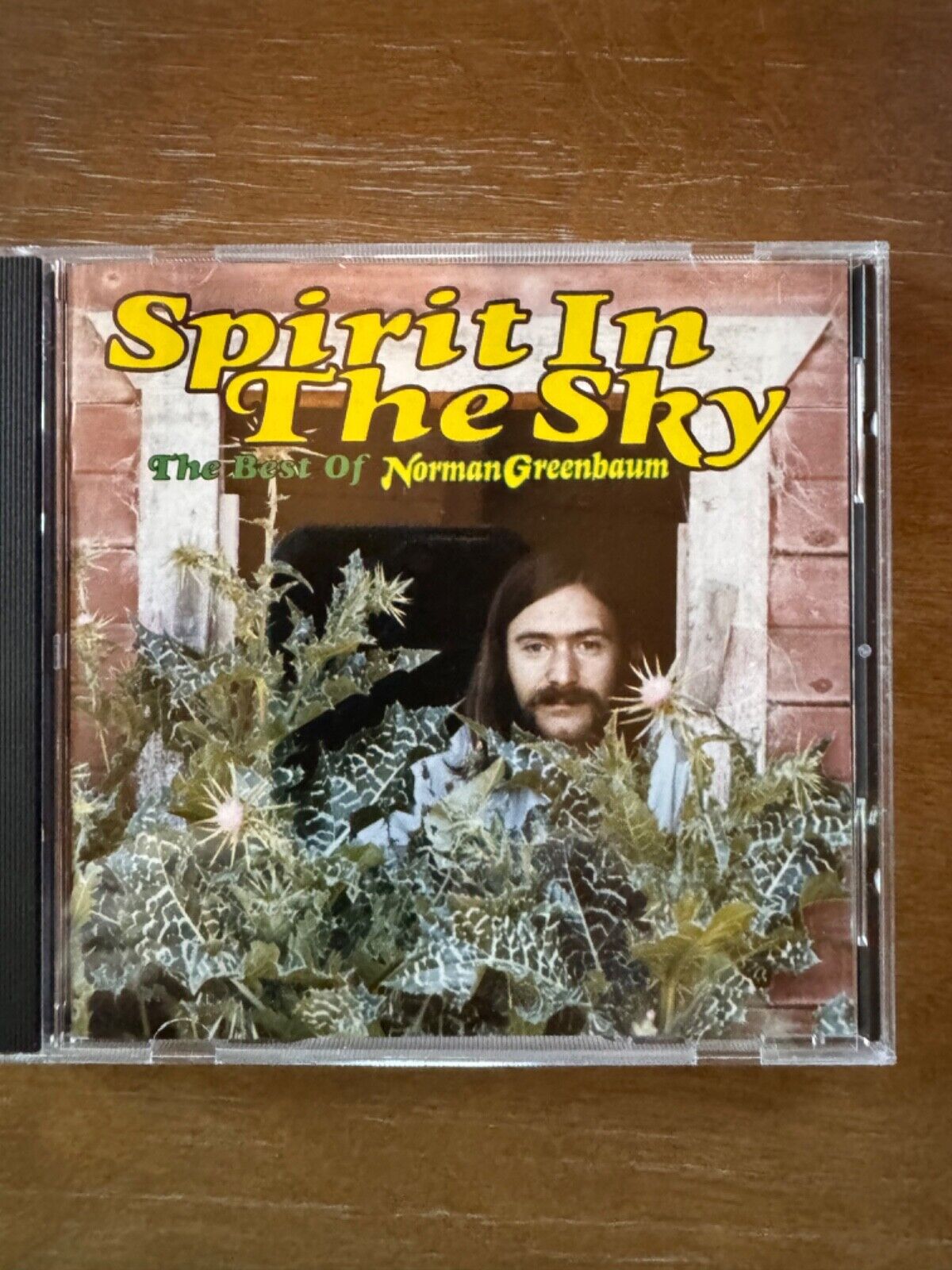 Spirit in the Sky: Best of by Greenbaum, Norman (CD, 1995)