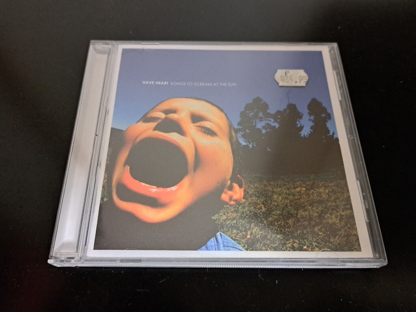 Have Heart - Songs to Scream at the Sun RARE CD 2008 Bridge Nine Vgc FREE POST 