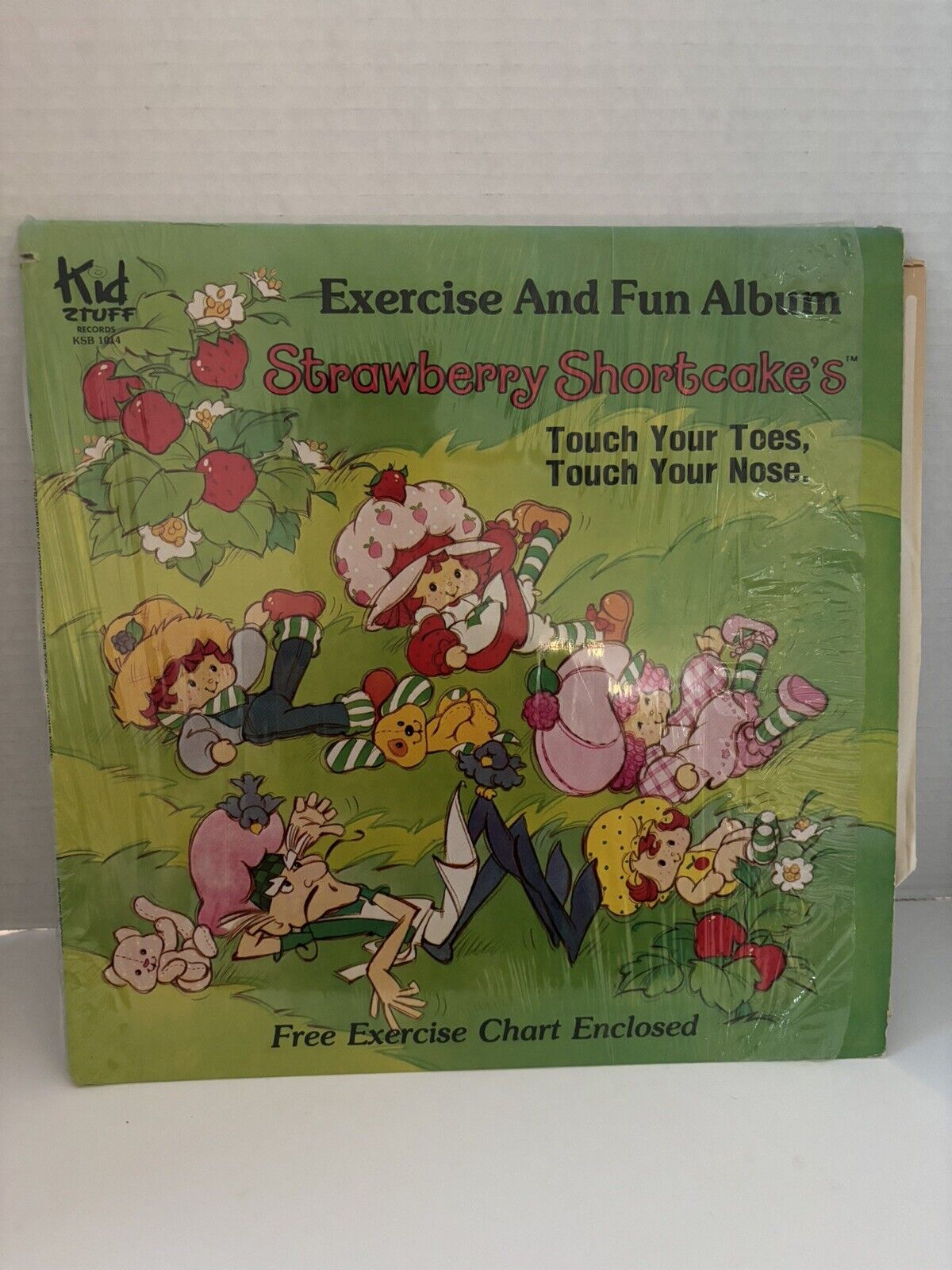 Vintage 1981 Exercise and Fun Strawberry Shortcake LP Record- In Orginal Plastic
