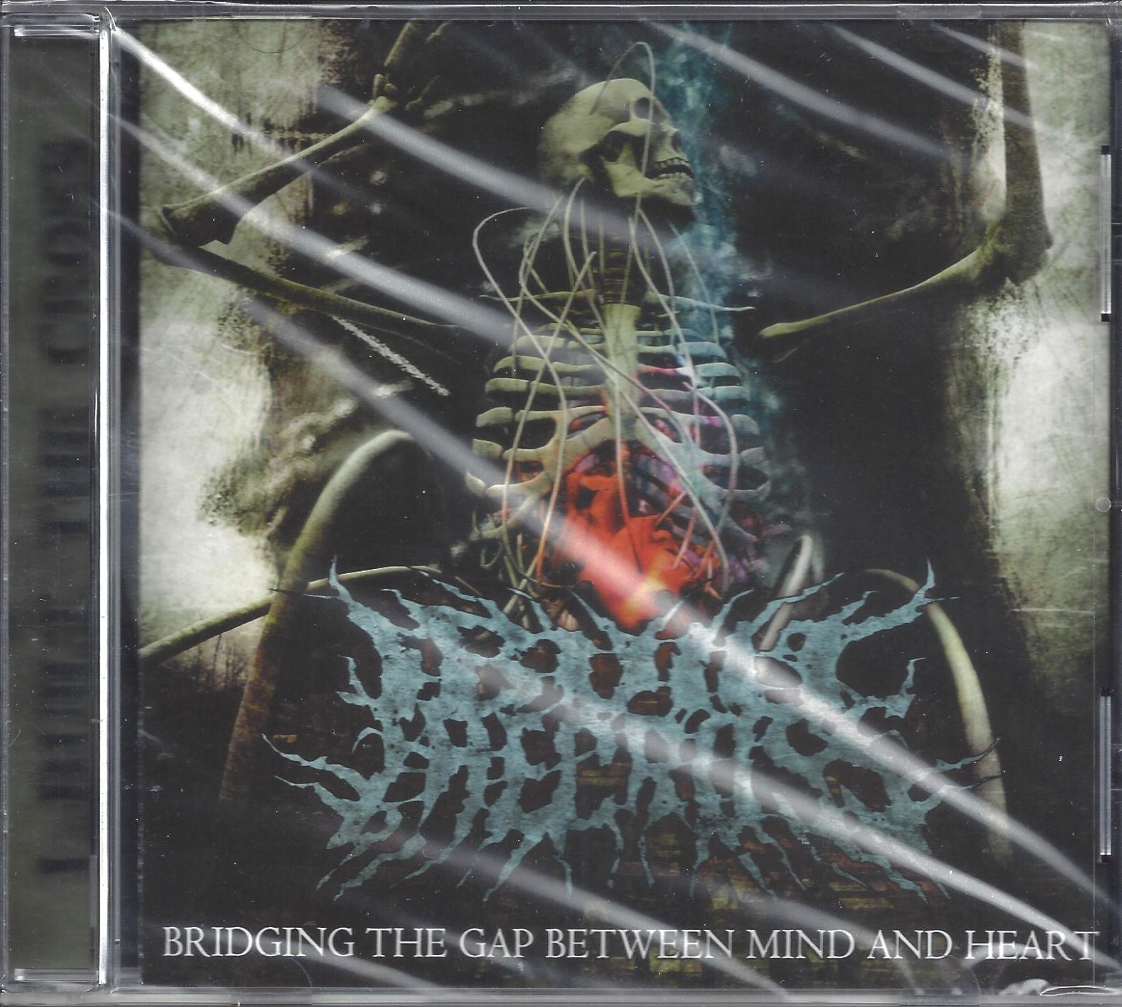 I BUILT THE CROSS Bridging The Gap Between Mind And Heart (CD, 2009, Open Grave)