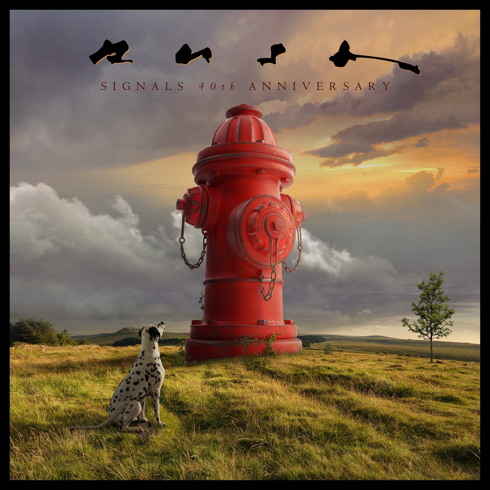Rush Signals (Vinyl) 40th Anniversary  12