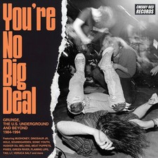 You'Re No Big Deal: - You're No Big Deal: Grunge, The U.S. Underground & Beyond picture
