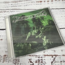 Immortal Souls - Under The Northern Sky - Nordic Metal CD 2001 - RARE FIND picture
