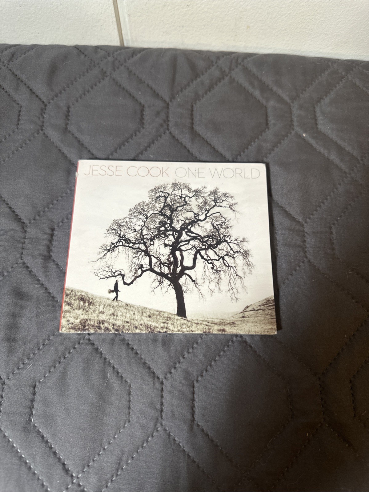 Jesse Cook One World (CD) Album (UK IMPORT)