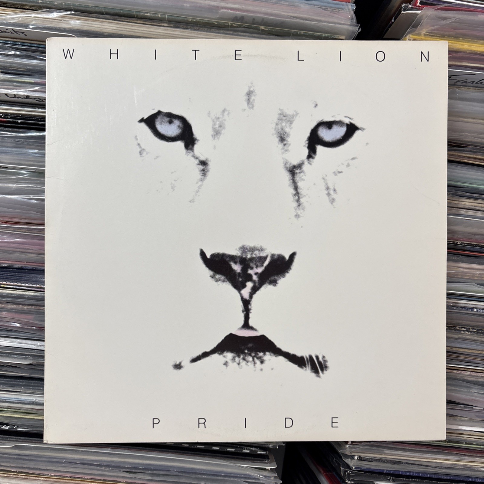 White Lion • PRIDE 1987 Vinyl LP Album ULTRASONIC CLEANED EX