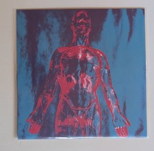 Sliver by Nirvana (New, Vinyl Reissue) picture