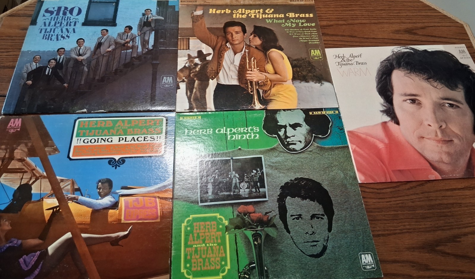 Vintage HERB ALBERT AND THE TIJUANA BRASS