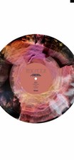 THE BIG MOON FOREVER LIMITED EDITION OF 500 NUMBERED EXCLUSIVE SOLD OUT 10/30/26 picture