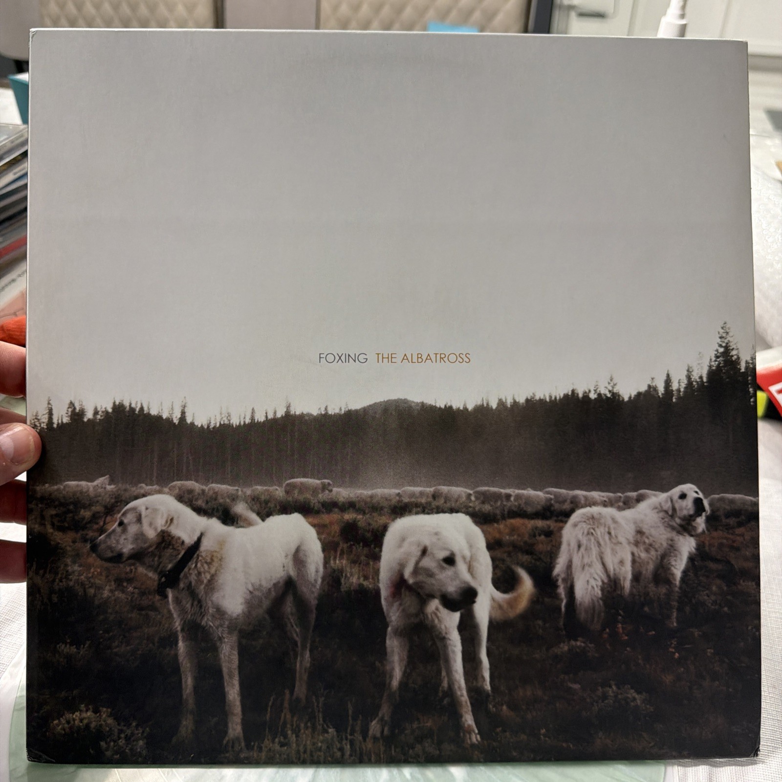 The Albatross: Ten Years Foxing -RARE, Uktrasonic Cleaned Green w white splatter
