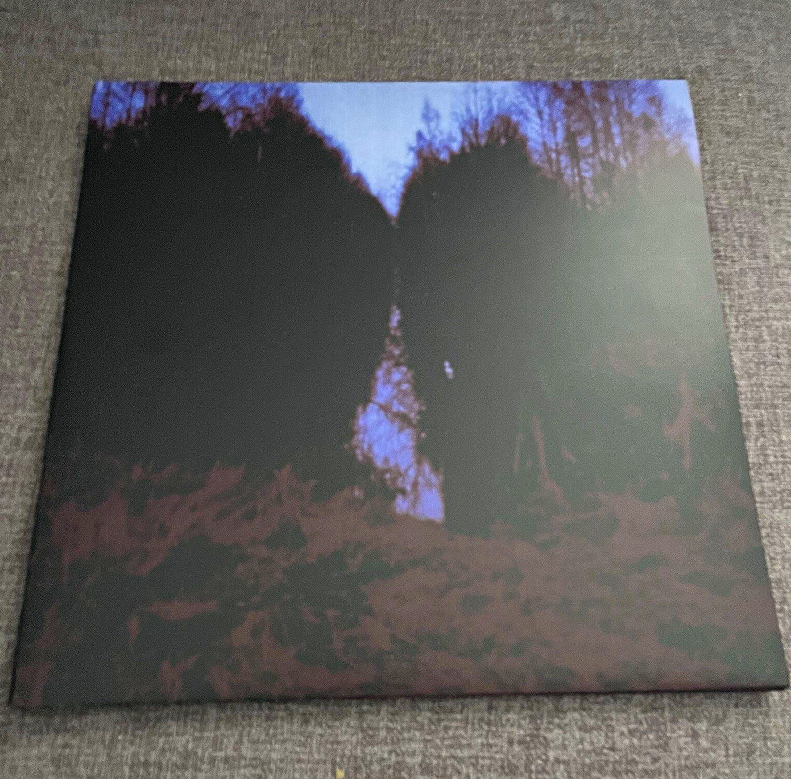 Vinyl Record Lot of 2, Black Vinyl Records with Black Inner Sleeves