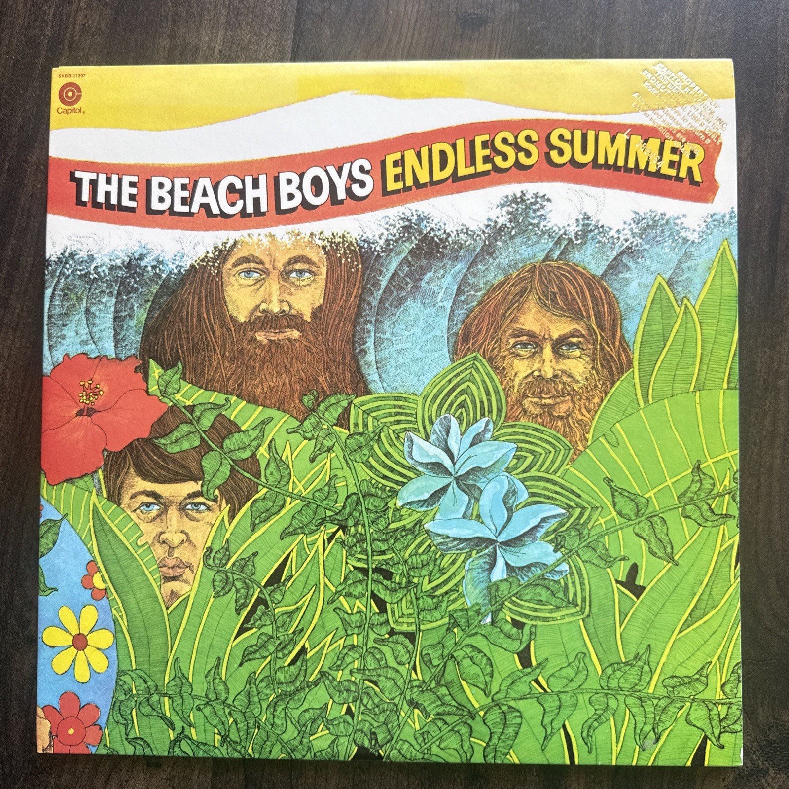 cords The Beach Boys Endless Summer Rare Vintage Promotional Capitol Records