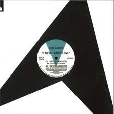 Chez Damier - I Never Knew Love (VINYL 12