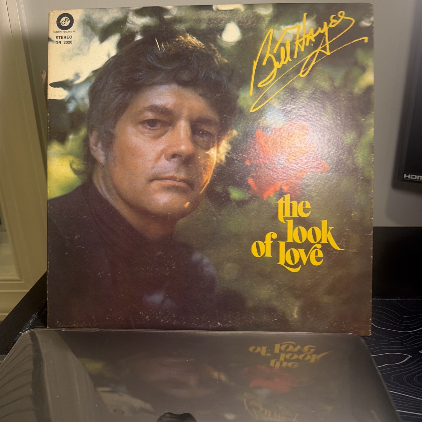 Vintage Bill Hayes - The Look Of Love