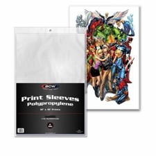 NEW (5 CT) BCW 12 x 18 Photo Print Sleeves- Clear Acid Free picture