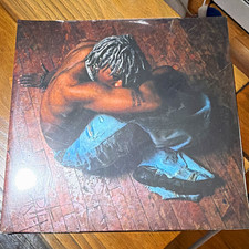 DC THE DON Rebirth Vinyl Record LP Rostrum Label Hip-Hop Cardboard Sleeve picture
