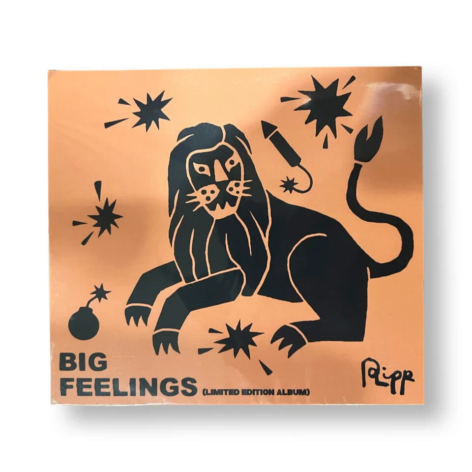 Andrew Ripp Big Feelings New CD