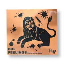 Andrew Ripp Big Feelings New CD picture
