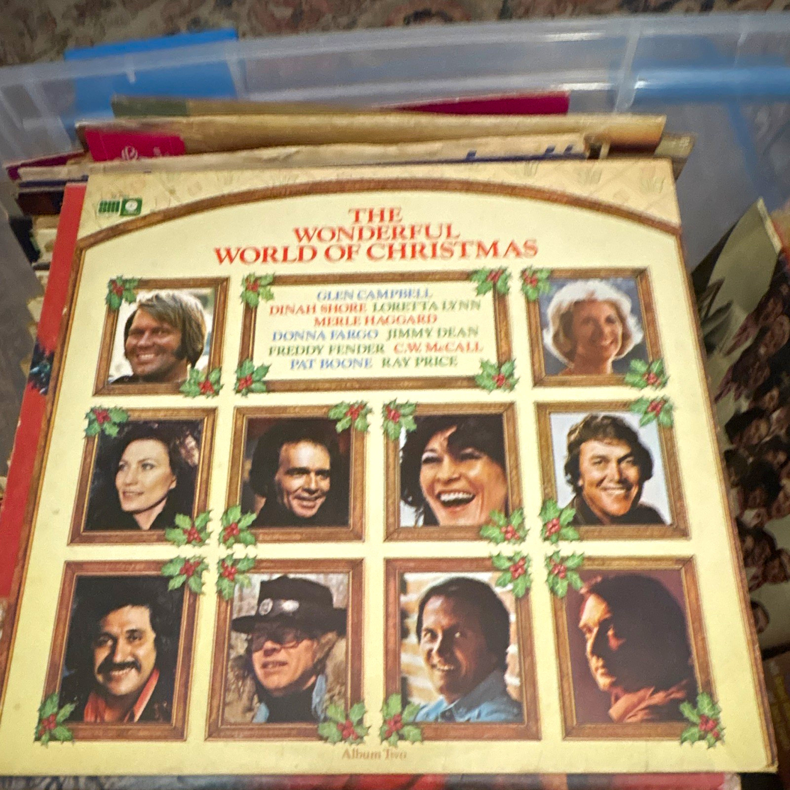 The Wonderful World of Christmas Sims SL 8025 12