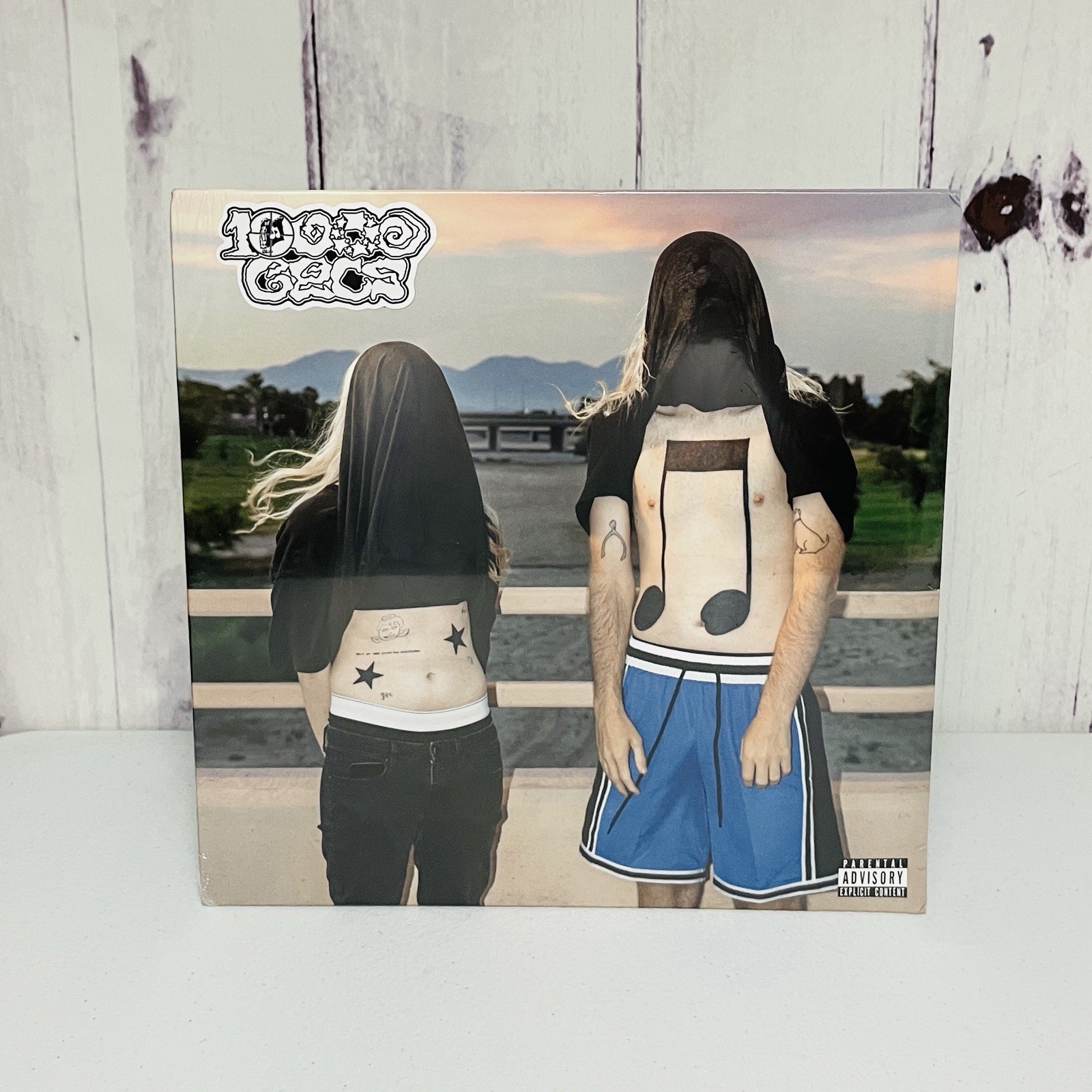 10000 Gecs by 100 Gecs Vinyl Record 2023 Pressing Music LP Hyperpop Electropop