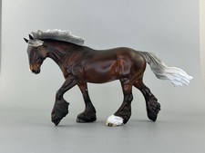 Peter Stone 2025 DAH Cob/Drum Horse FCM Satin Silver bay picture