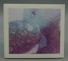 Luke Sanger – Salt Water Motifs 2023 CD (qd03) Very Good  picture