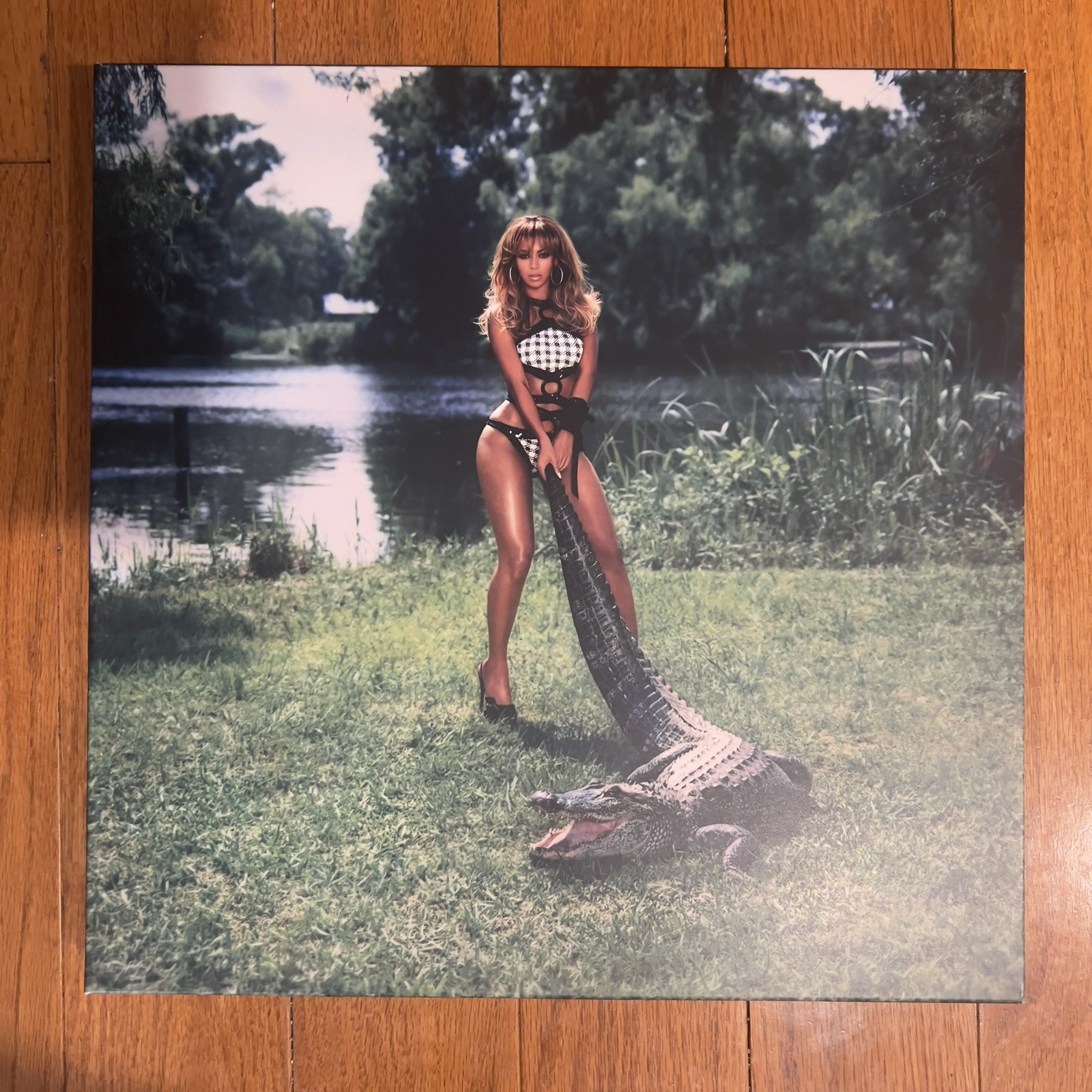 Beyoncé BDay 4x VINYL 20th Anniversary Deluxe Edition 