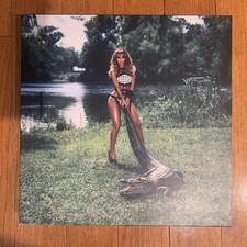 Beyoncé BDay 4x VINYL 20th Anniversary Deluxe Edition  picture