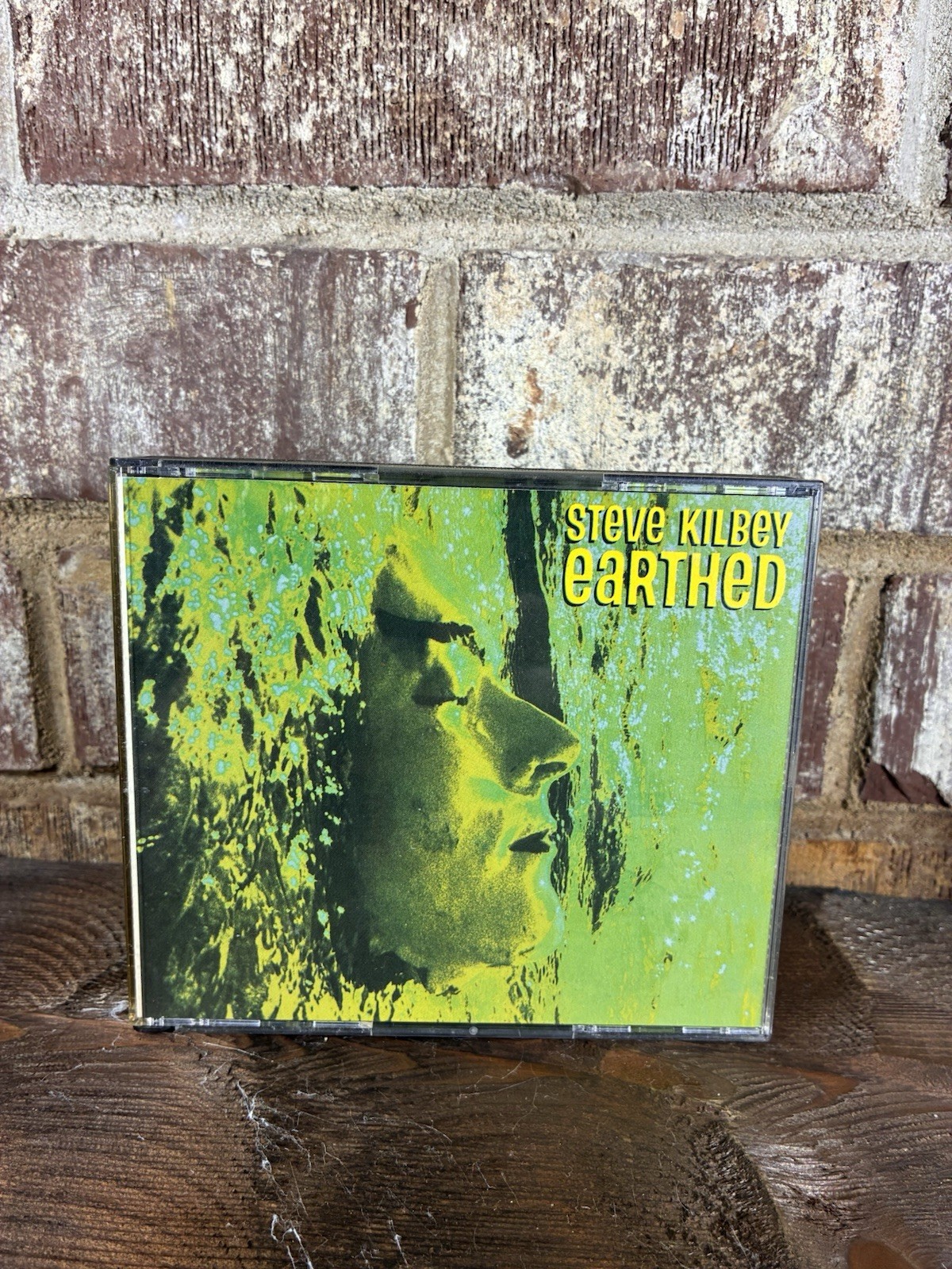 Steve Kilbey - Earthed  CD  28 Tracks  Alternative Pop Rock Autographed Signed