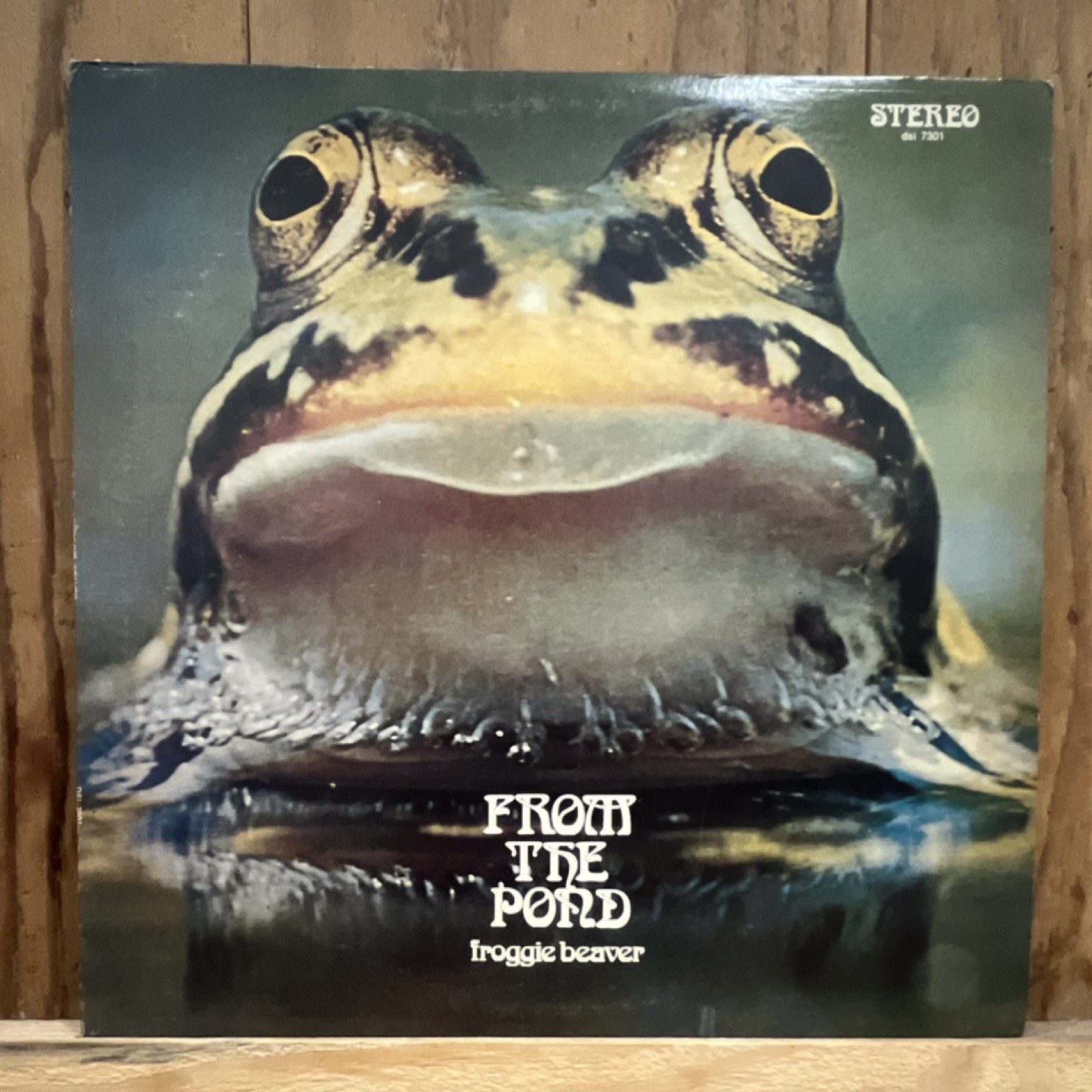 Froggie Beaver From The Pond 1973 LP 12