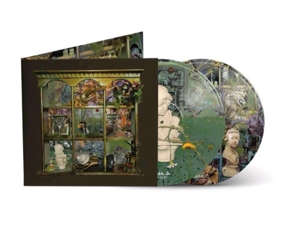 BILLY STRINGS SO MUCH FOR GOODBYES LIMITED EDITION PICTURE DISC LP
