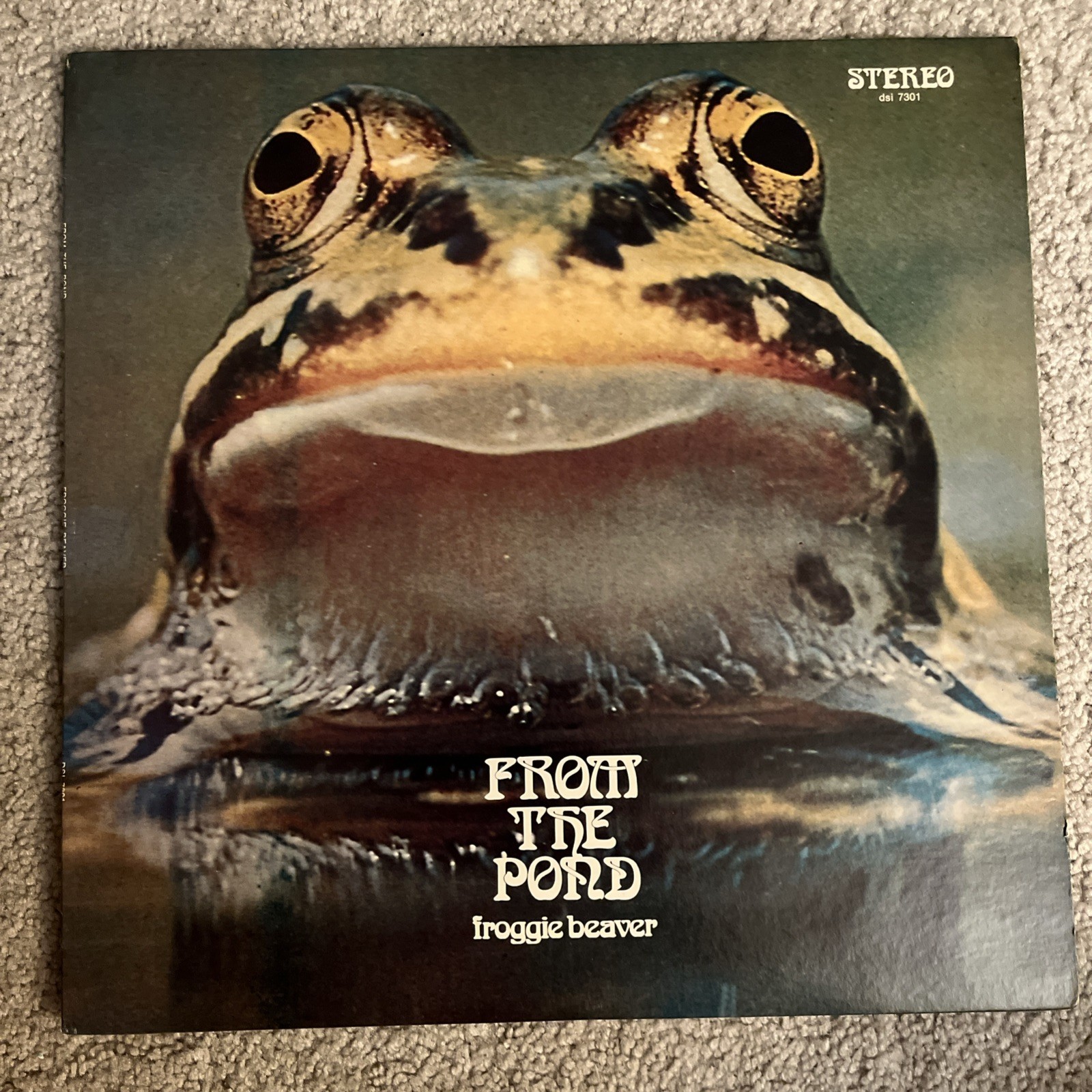 Froggie Beaver - From the Pond - NM Vinyl LP - 1973 dsi 7301 Private Pressing