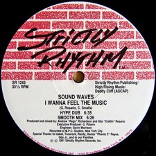 Sound Waves - I Wanna Feel The Music / Gotta Have You (12