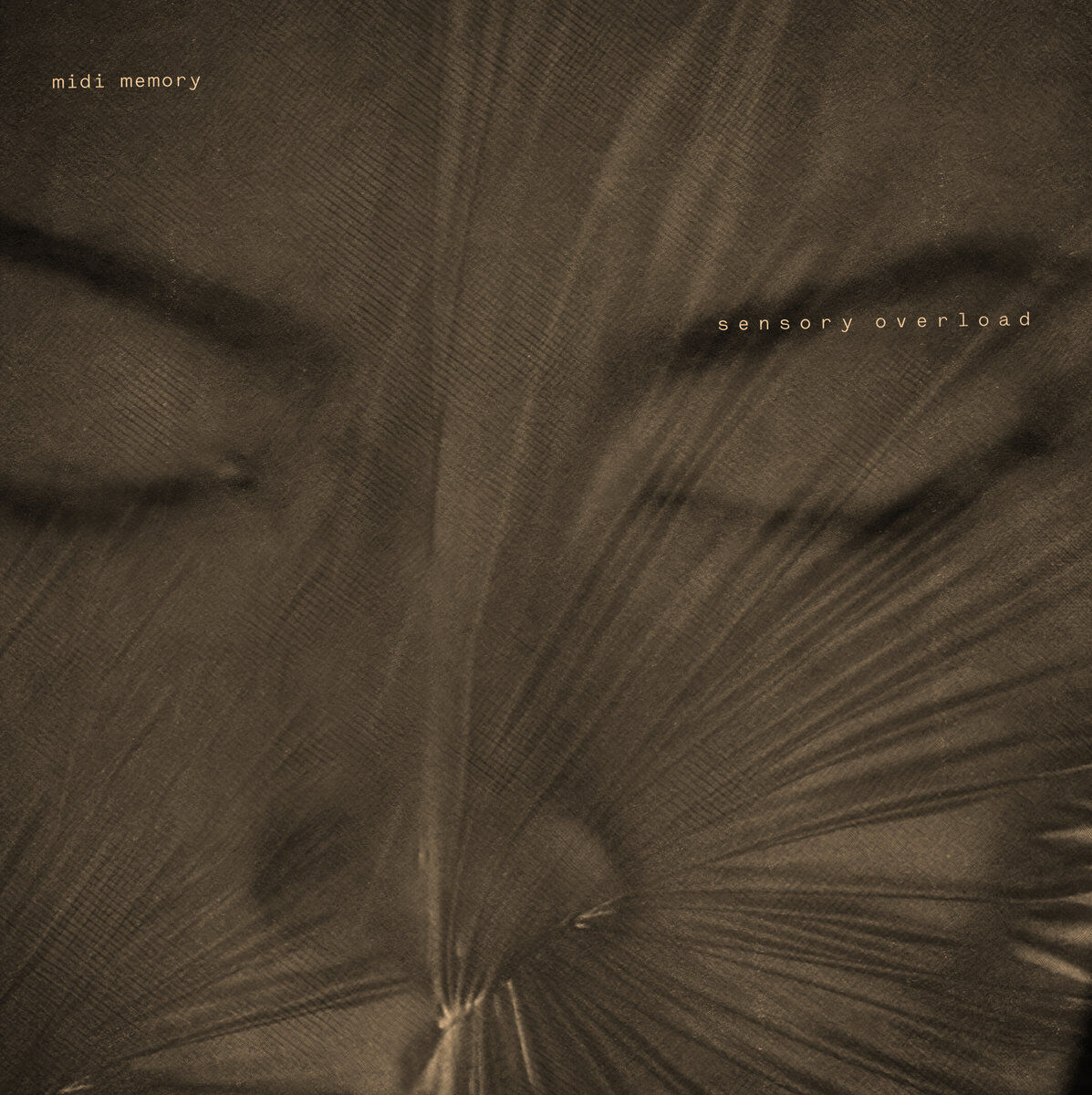 Midi Memory - Sensory Overload - NEW SEE DESCRIPTION