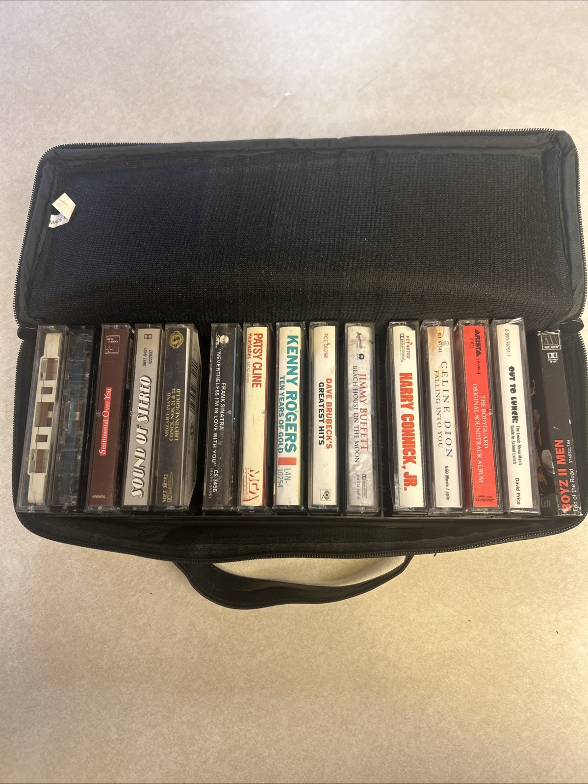 Lot of 15 Vintage Cassette Tapes Country Rock Pop 80s 90s with Carrying Case