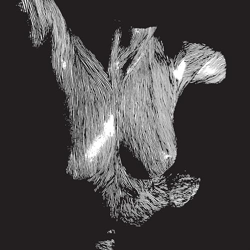 Oceansize - Self Preserved While The Bodies Float Up (15Th Anniversary) [3Lp] -